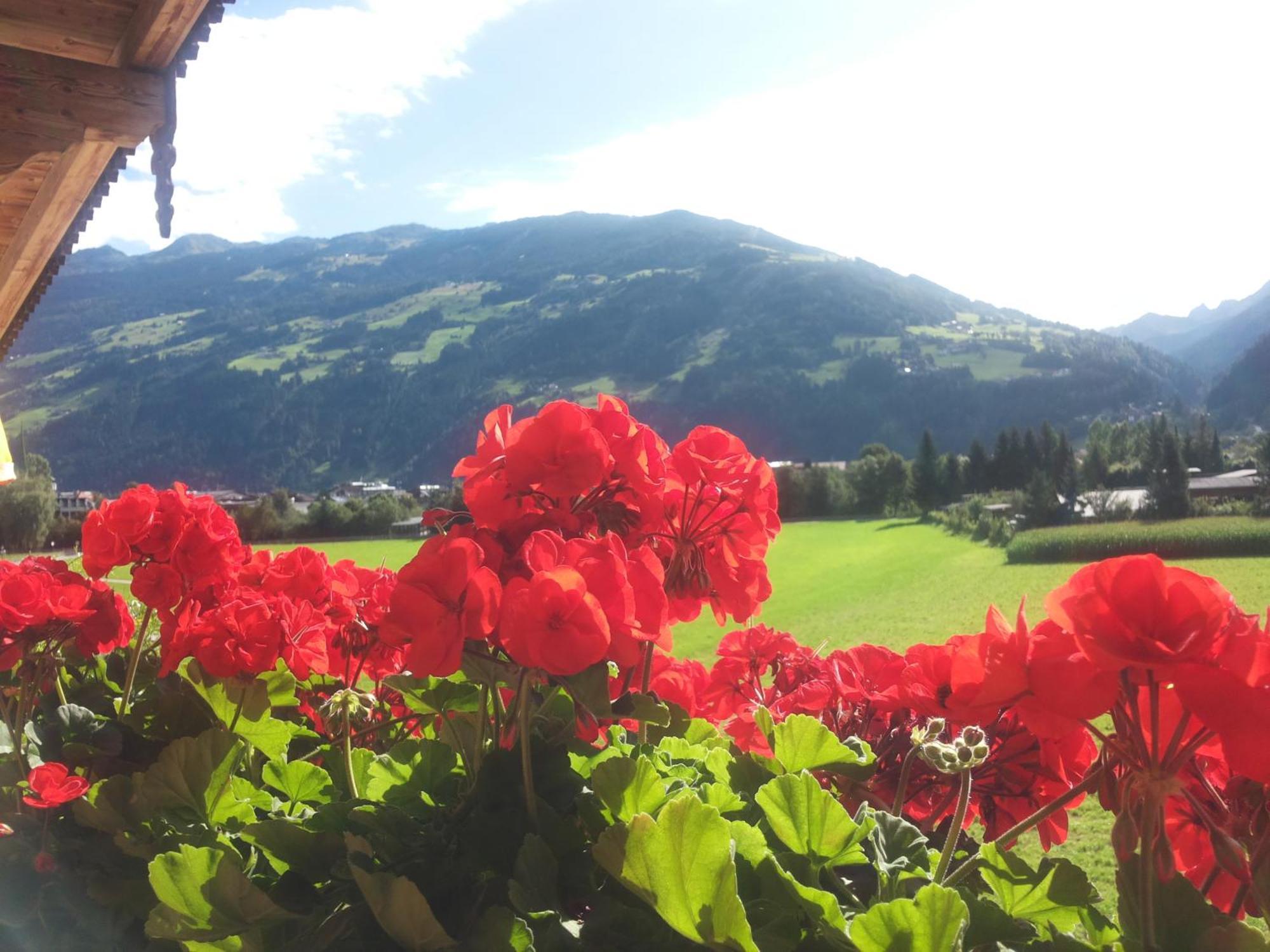Tirol Appartement Haus Zillertal Zell am Ziller Rom bilde
